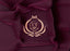 Innana: Celestial Paradox Collection